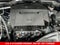 2024 Acura MDX Technology SH-AWD