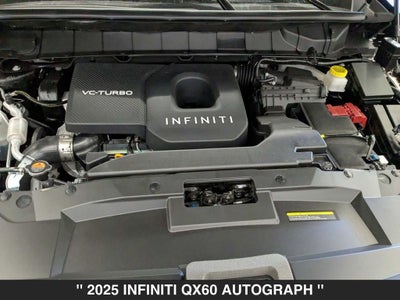 2025 INFINITI QX60 Autograph